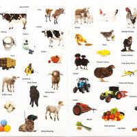 Animal Detectives on the Farm Sticker Book - Anilas UK