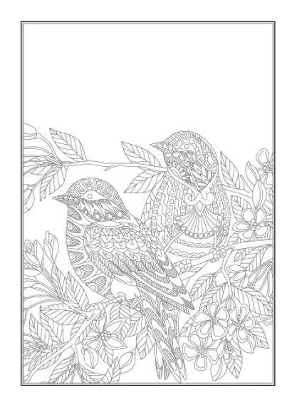 Beautiful Birds An Anti-Stress Colouring Book - Anilas UK