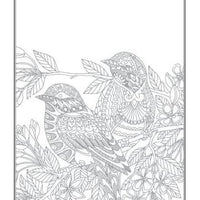 Beautiful Birds An Anti-Stress Colouring Book - Anilas UK