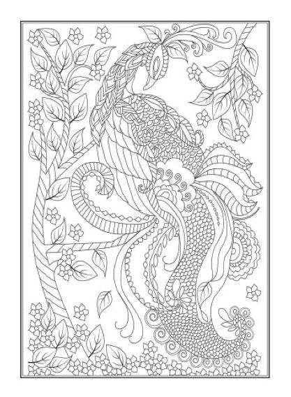 Beautiful Birds An Anti-Stress Colouring Book - Anilas UK