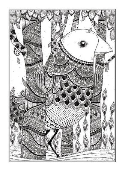 Beautiful Birds An Anti-Stress Colouring Book - Anilas UK