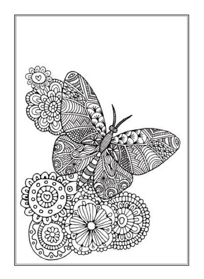 Beautiful Butterflies An Anti-Stress Colouring Book - Anilas UK