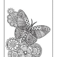 Beautiful Butterflies An Anti-Stress Colouring Book - Anilas UK