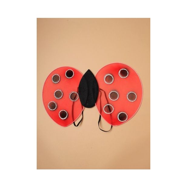 Children's Ladybird Set - Anilas UK