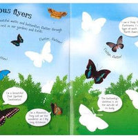Insects and Bugs Sticker Activity Book - Anilas UK