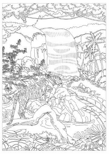 Life in the Jungle Advanced Colouring Book - Anilas UK