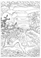 
              Life in the Jungle Advanced Colouring Book - Anilas UK
            