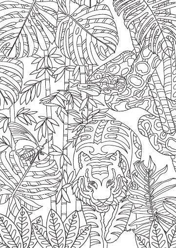 Life in the Jungle Advanced Colouring Book - Anilas UK