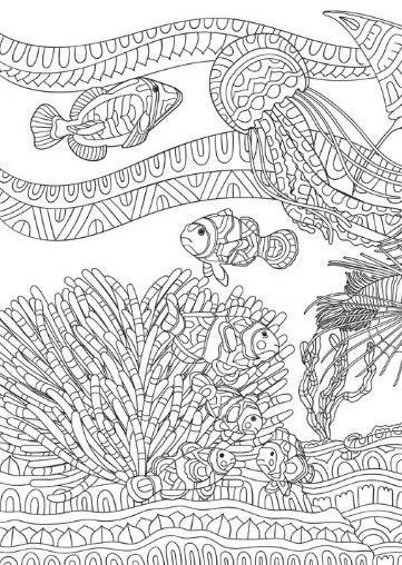 Life in the Ocean Advanced Colouring Book - Anilas UK