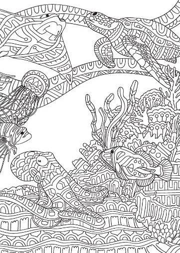 Life in the Ocean Advanced Colouring Book - Anilas UK