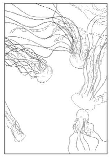Life in the Ocean Advanced Colouring Book - Anilas UK