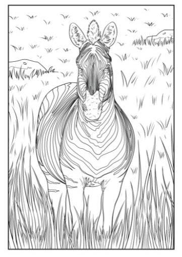Life on the Savannah Advanced Colouring Book - Anilas UK
