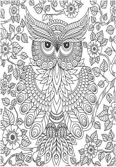 Mind Relaxation Birds - Anilas UK