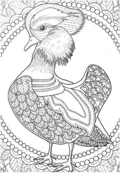 Mind Relaxation Birds - Anilas UK