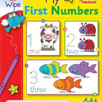 My First Numbers Write & Wipe Book - Anilas UK