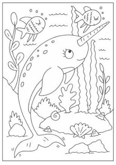 My Magical Creature Colouring Book - Anilas UK