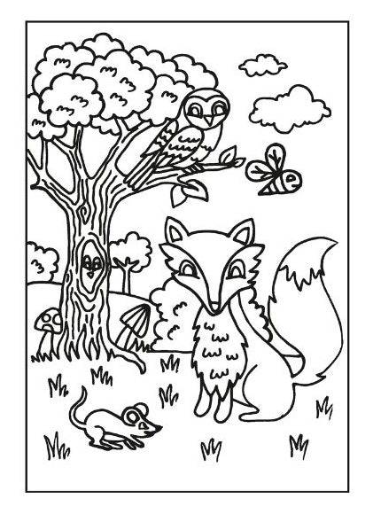 My Woodland Friends Colouring Book - Anilas UK