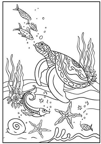 My Magical Mermaid Colouring Book - Anilas UK