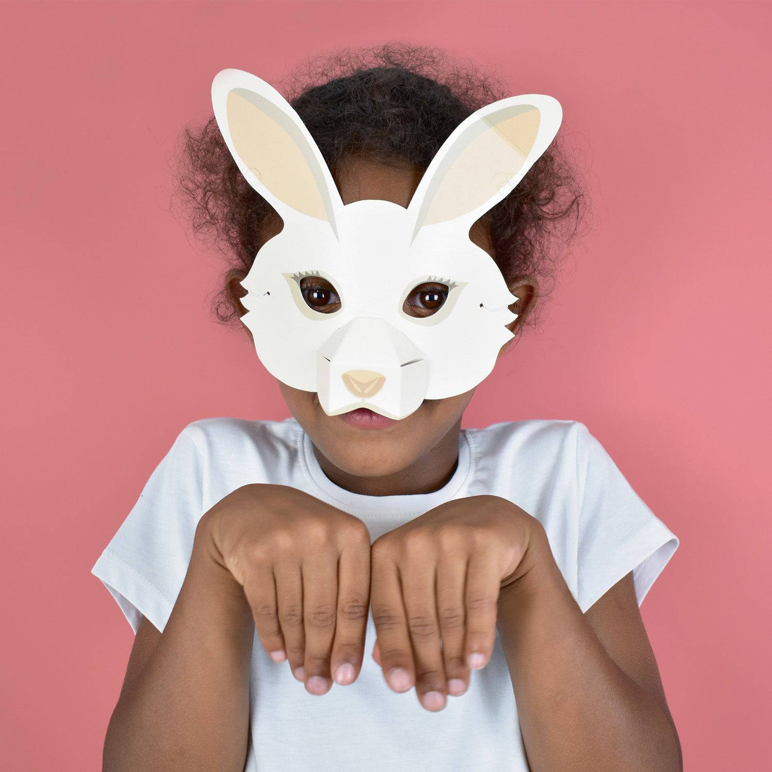 Clockwork Soldier's Create Your Own Woodland Animal Masks - Anilas UK