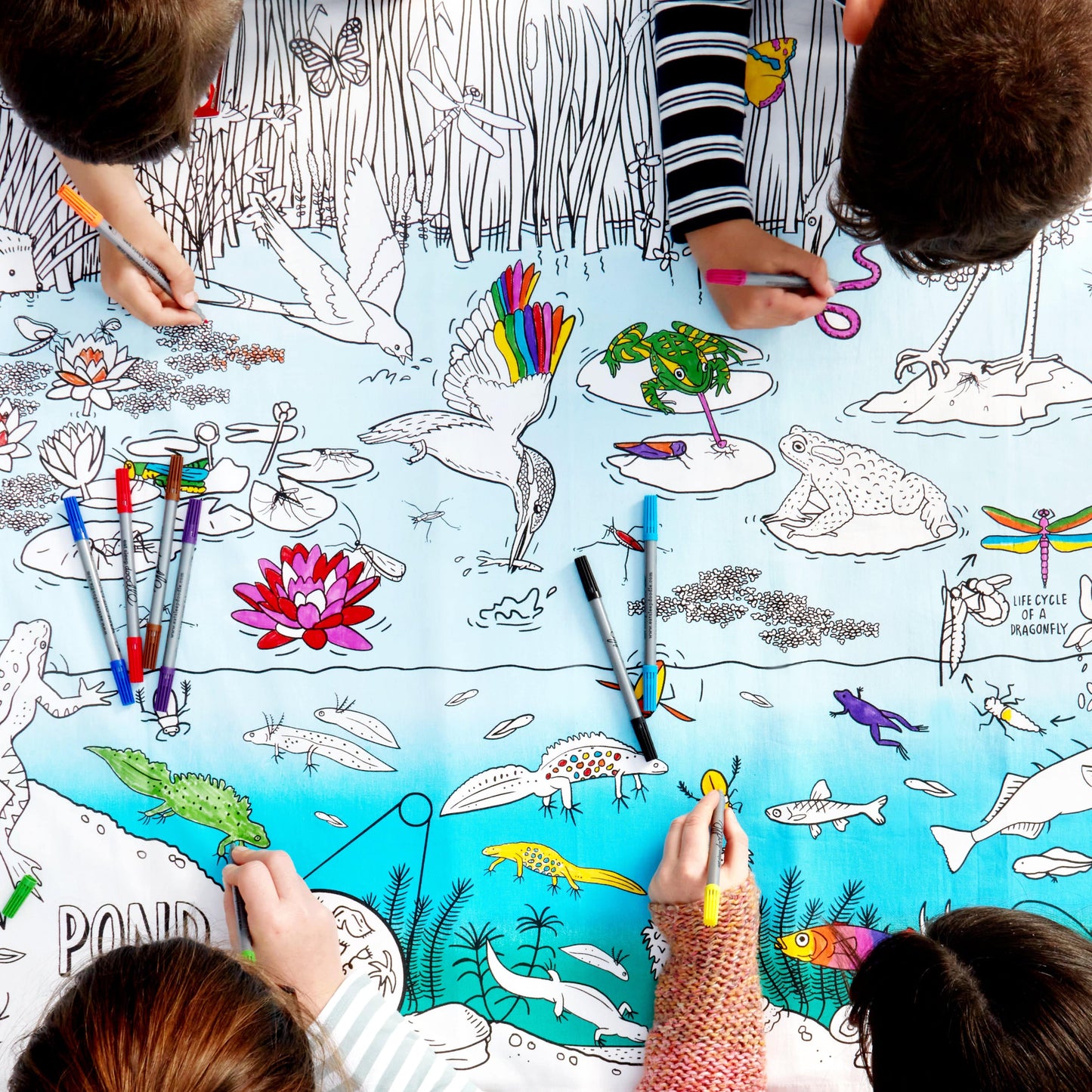 Eat Sleep Doodle's Pond Life Colour in Tablecloth - Anilas UK