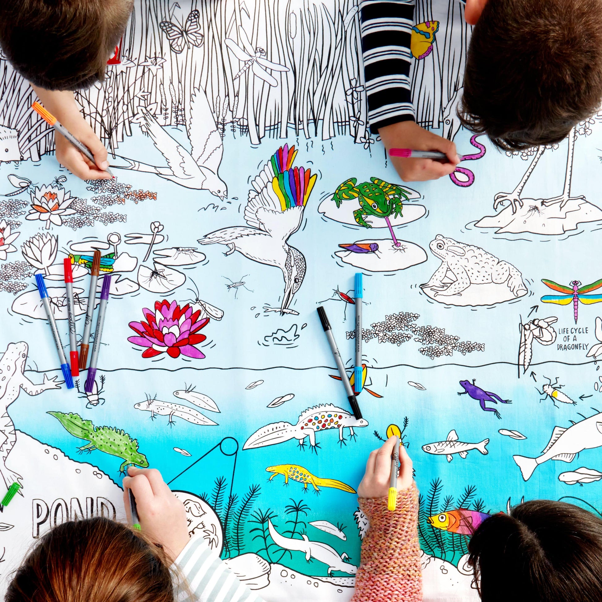 Eat Sleep Doodle's Pond Life Colour in Tablecloth - Anilas UK