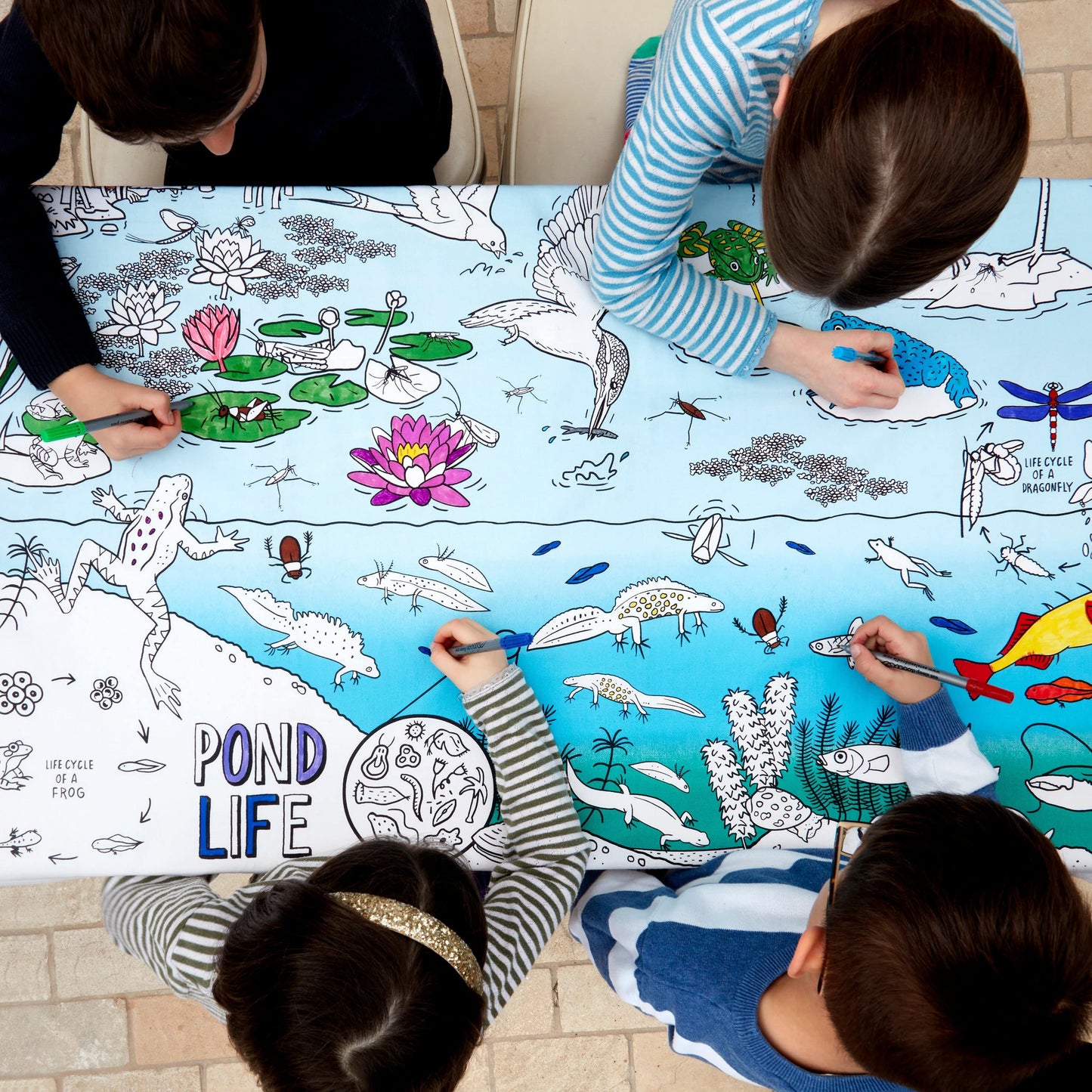 Eat Sleep Doodle's Pond Life Colour in Tablecloth - Anilas UK