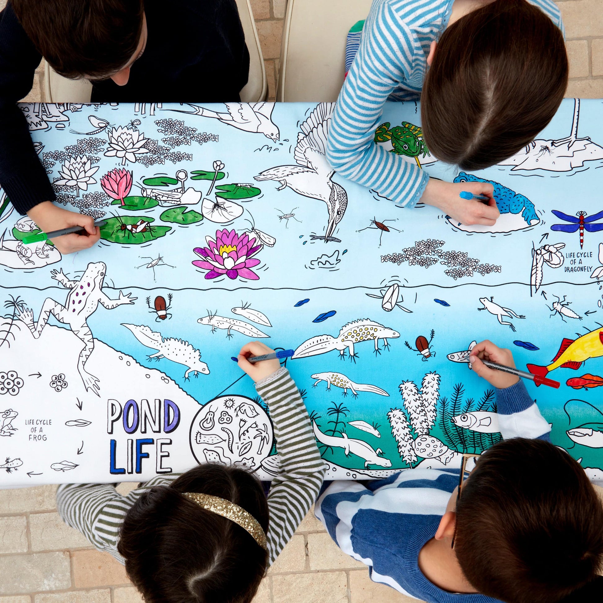 Eat Sleep Doodle's Pond Life Colour in Tablecloth - Anilas UK