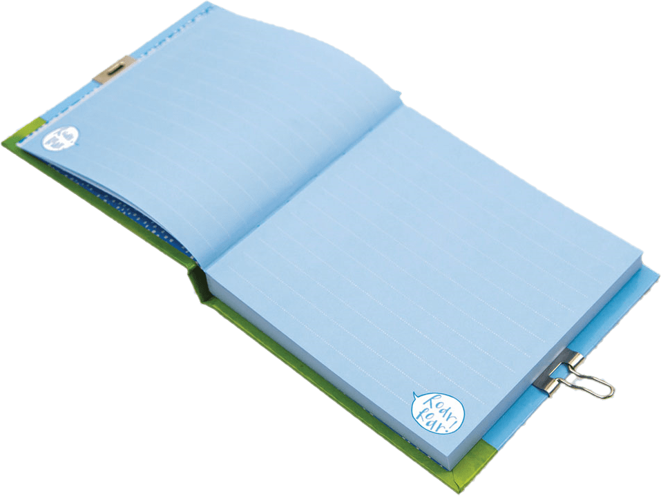 Rawr-Some Dinosaur Secret Diary by Rachel Ellen Designs - Anilas UK