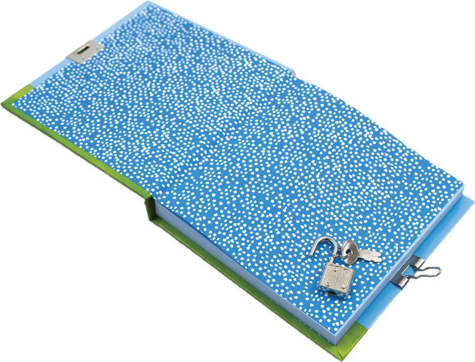 Rawr-Some Dinosaur Secret Diary by Rachel Ellen Designs - Anilas UK
