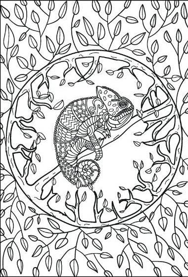The Peaceful Colouring - Anilas UK