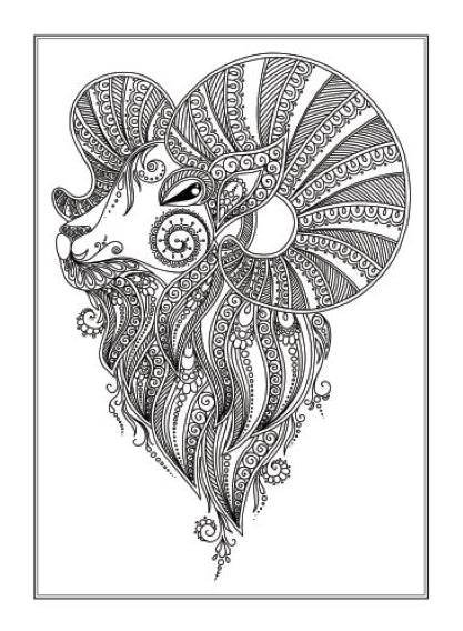 Animals Anti-Stress Colouring Book page view