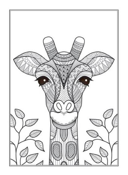 Animals Anti-Stress Colouring Book animal illustration