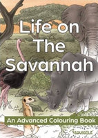 
              Nature Themed Colouring Book savannah
            